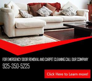 Mold Removal - Carpet Cleaning Moraga, CA