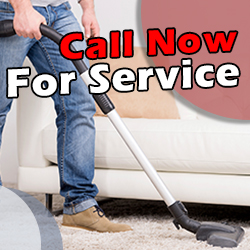 Contact Carpet Cleaning Services